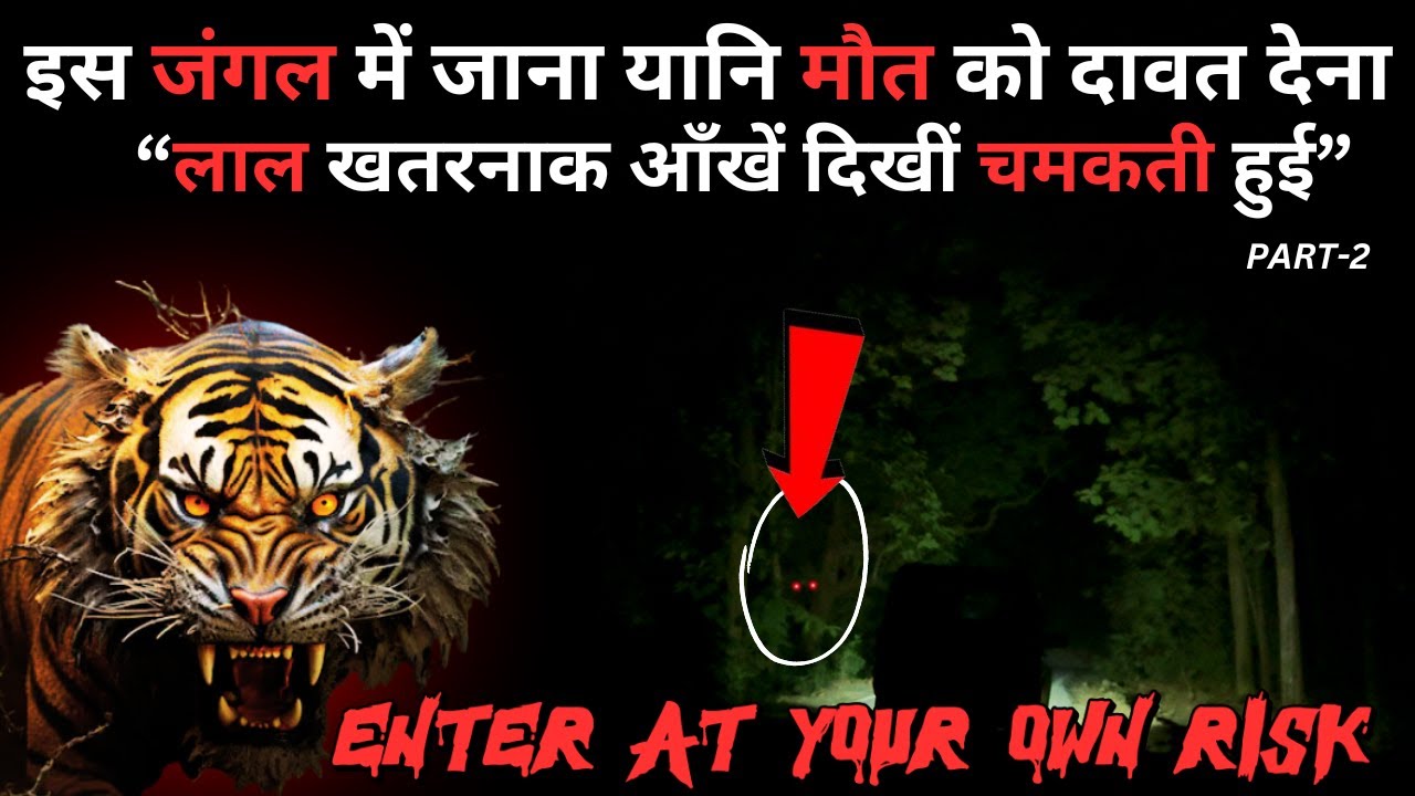 Jungle में यहाँ अपनी Risk पर जाना | लाल आंखें दिखीं रात में | Jim Corbett
