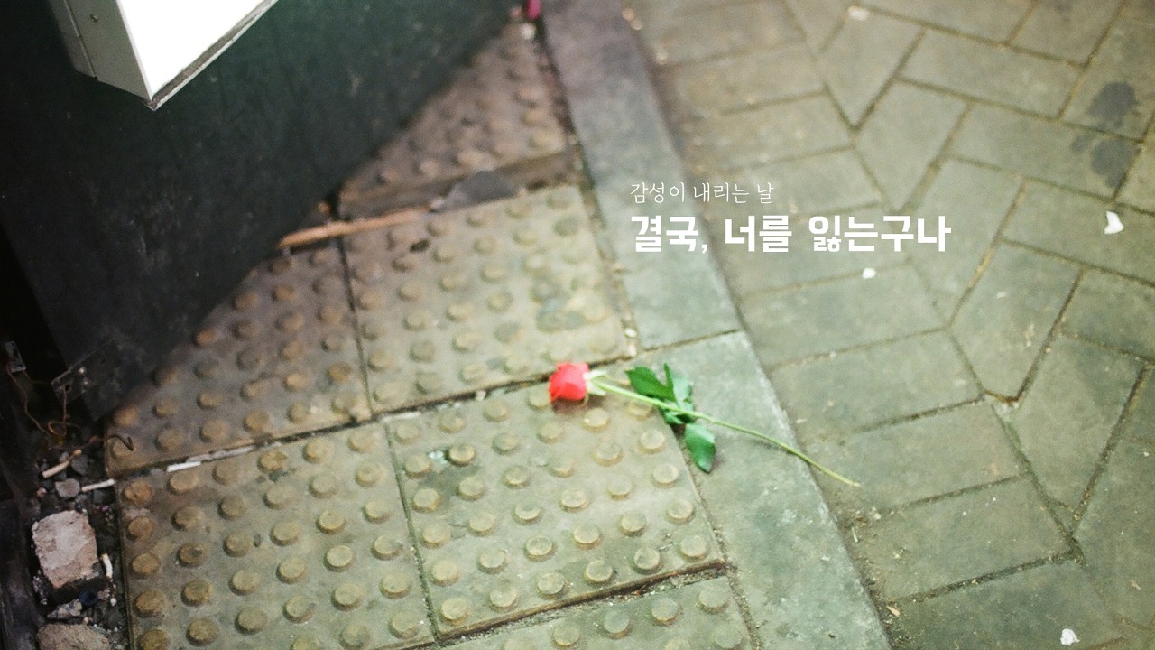 결국, 너를 잃는 구나