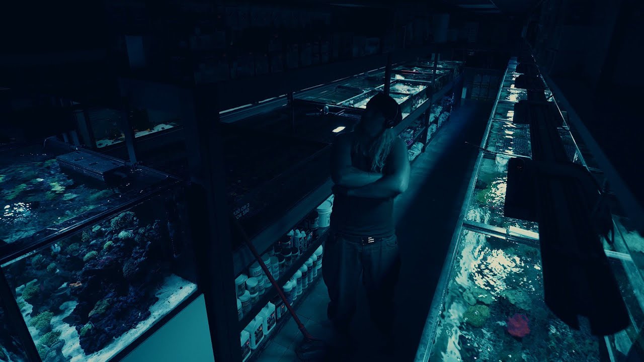 Lu - FISH BOWL (Official Video)