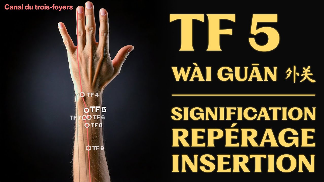 Point d'acupuncture : TF 5 (wài guān 外关) signification, repérage, insertion