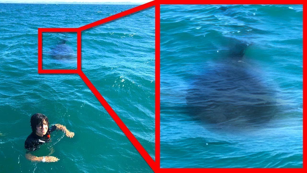 Si Le Tienes Miedo Al Oceano NO MIRES ESTE VIDEO! - Parte 2