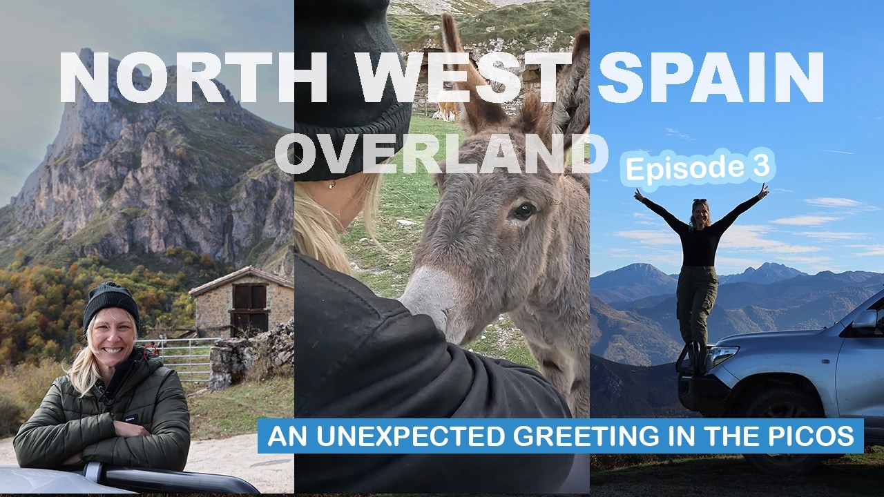 Forests, Pico Mountains and Curious Donkeys | Spain Overland Episode 3
