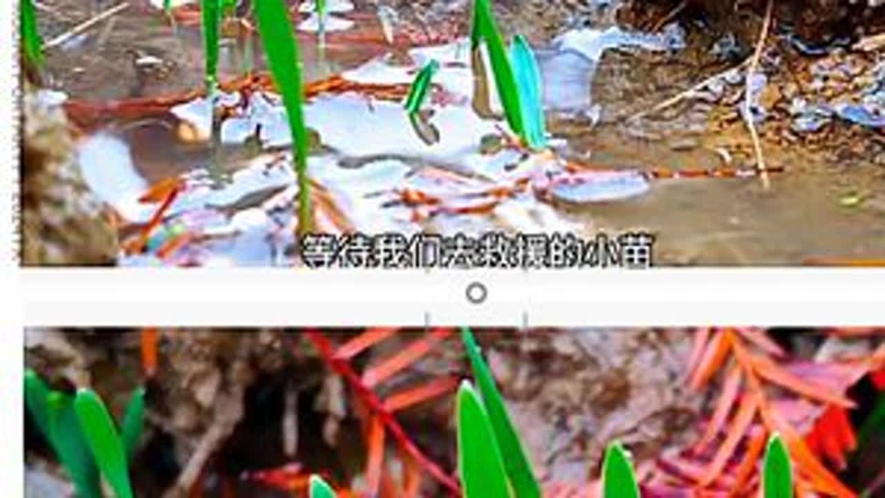 种地vlog day54合集，梦回通沟，墙面涂鸦#种地吧少年#相信土地的力量