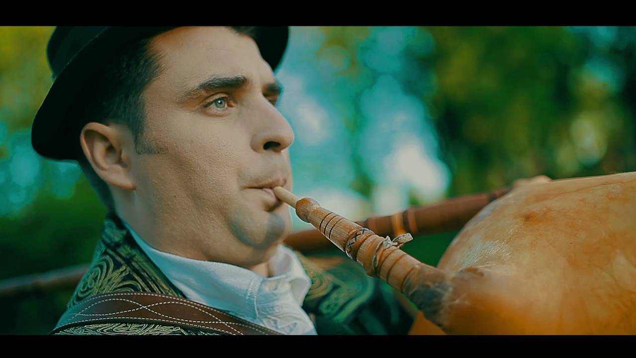 TS ZVONA - Ne mogu bez nje