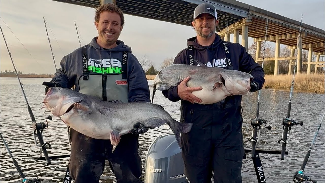 River Catfishing - NONSTOP ACTION!