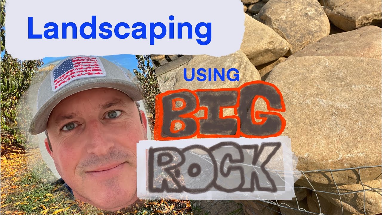 How to use rocks in landscaping🪨 🌲 🌳