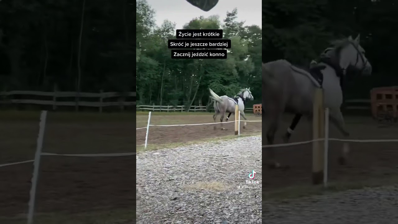 Myślicie, że spadła? 