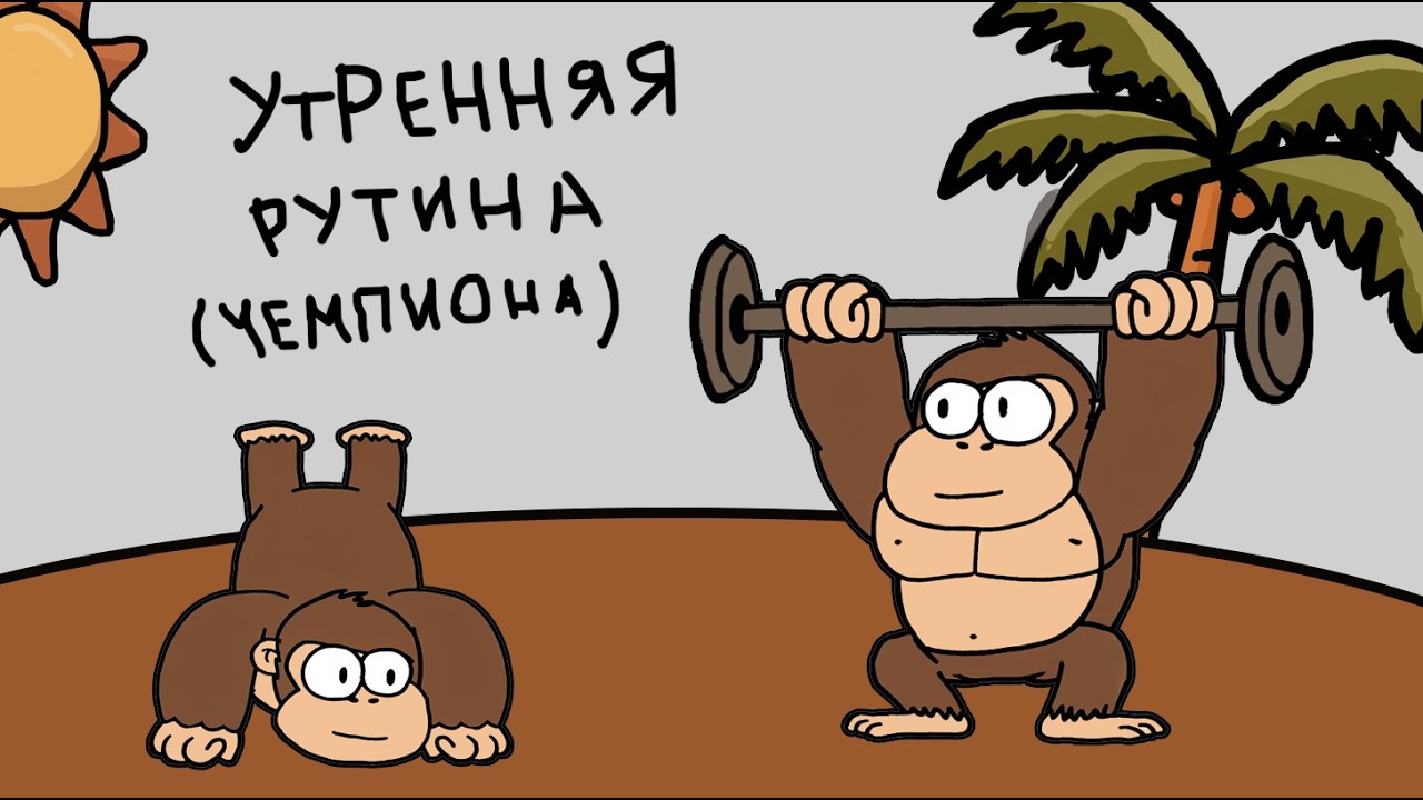 5 привычек для идеального утра (по науке)