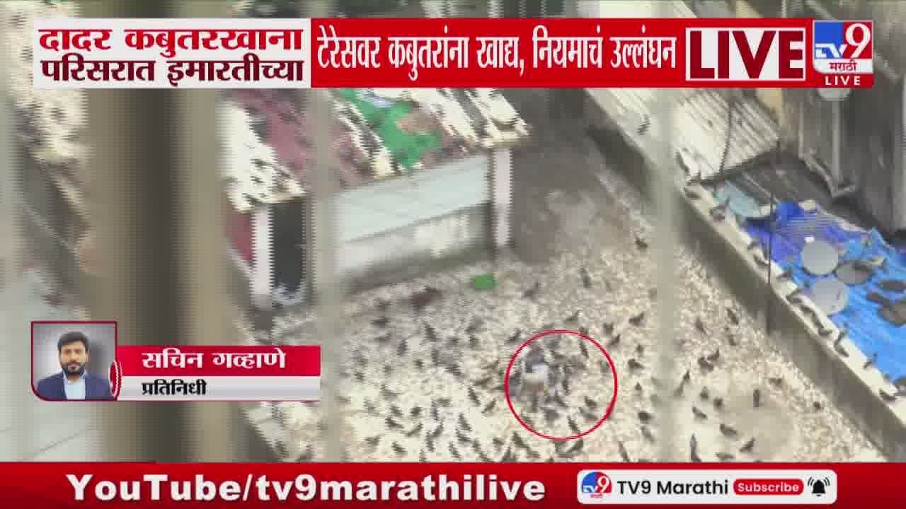 Dadar Kabutar Khana | दादर कबुतरखाना परिसरात इमारतीच्या टेरेसवर कबुतरांना खाद्य, नियमाचं उल्लंघन