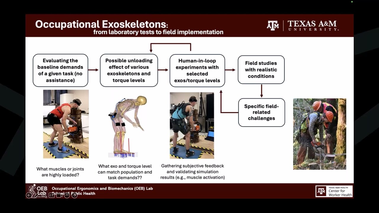 Biomechanical Simulation of Passive Back Support Exoskeletons