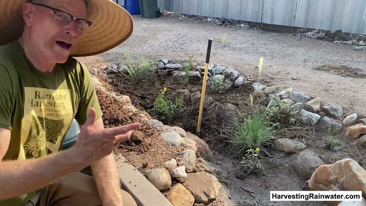 Plant the rain—don't drain it—to end the drought with passive water harvesting by Brad Lancaster