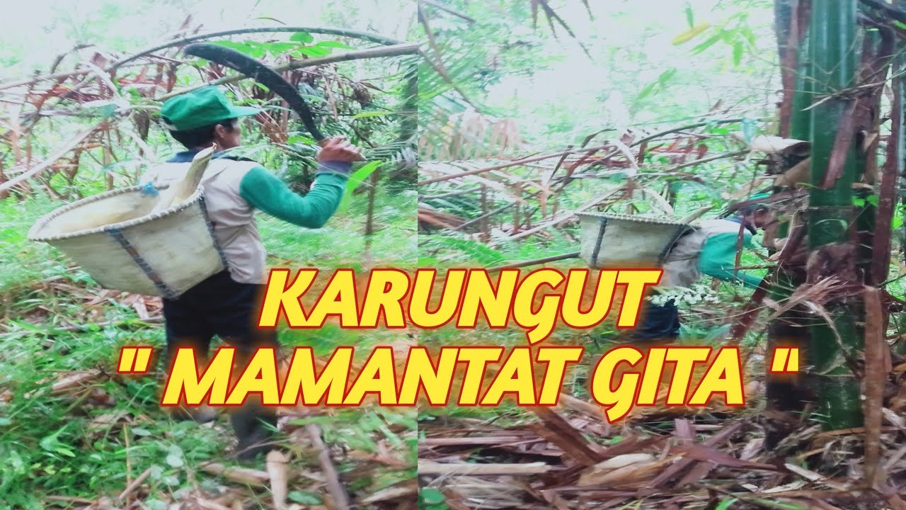Karungut 