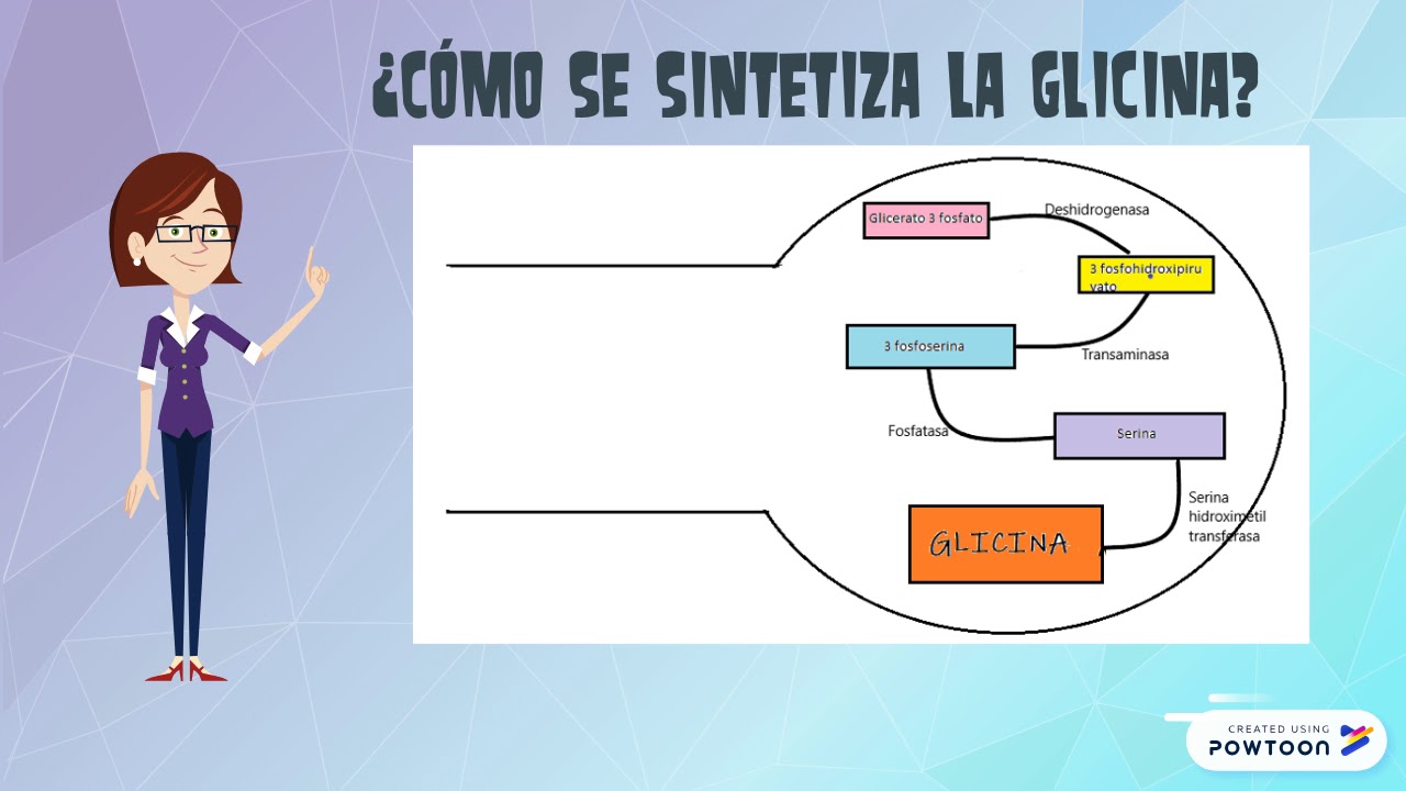 NEUROTRANSMISOR GLICINA