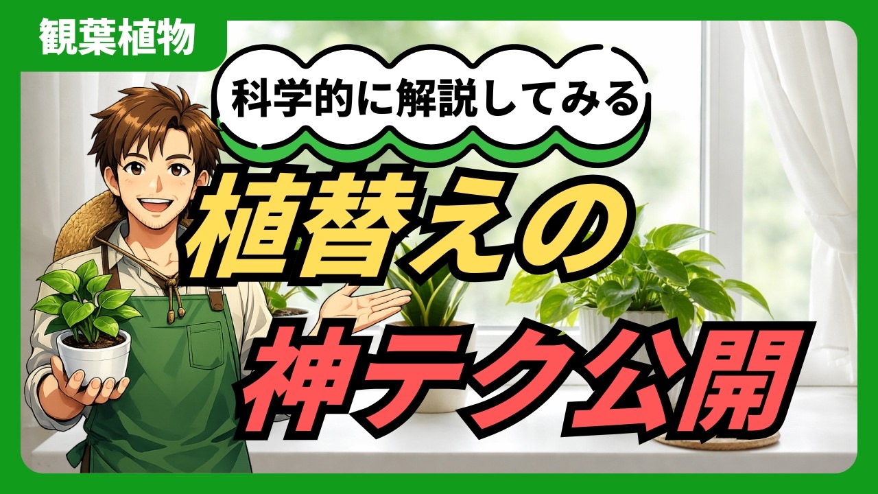 【成長爆増】植え替えの極意！土と根の秘密を徹底解説 #植え替え #園芸 #肥料 #土作り #暮らしを楽しむ