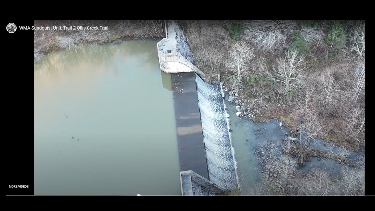 WMA Sundquist Unit, Trail 2 Ollis Creek Trail and Drone Footage.
