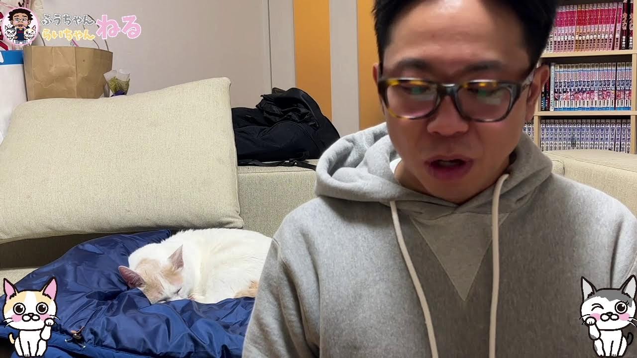 スーパー猫の日緊急にゃま配信！！