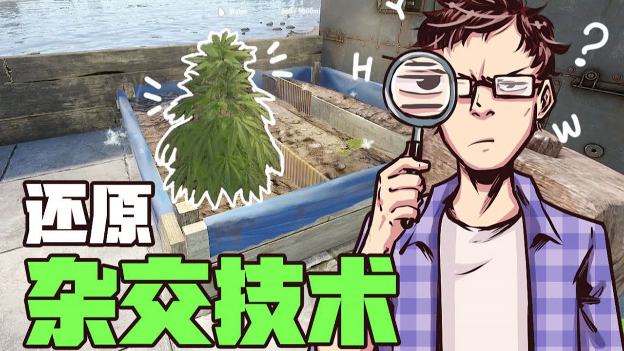 太卷了！玩生存游戏还要学农业杂交知识【囧的呼唤】