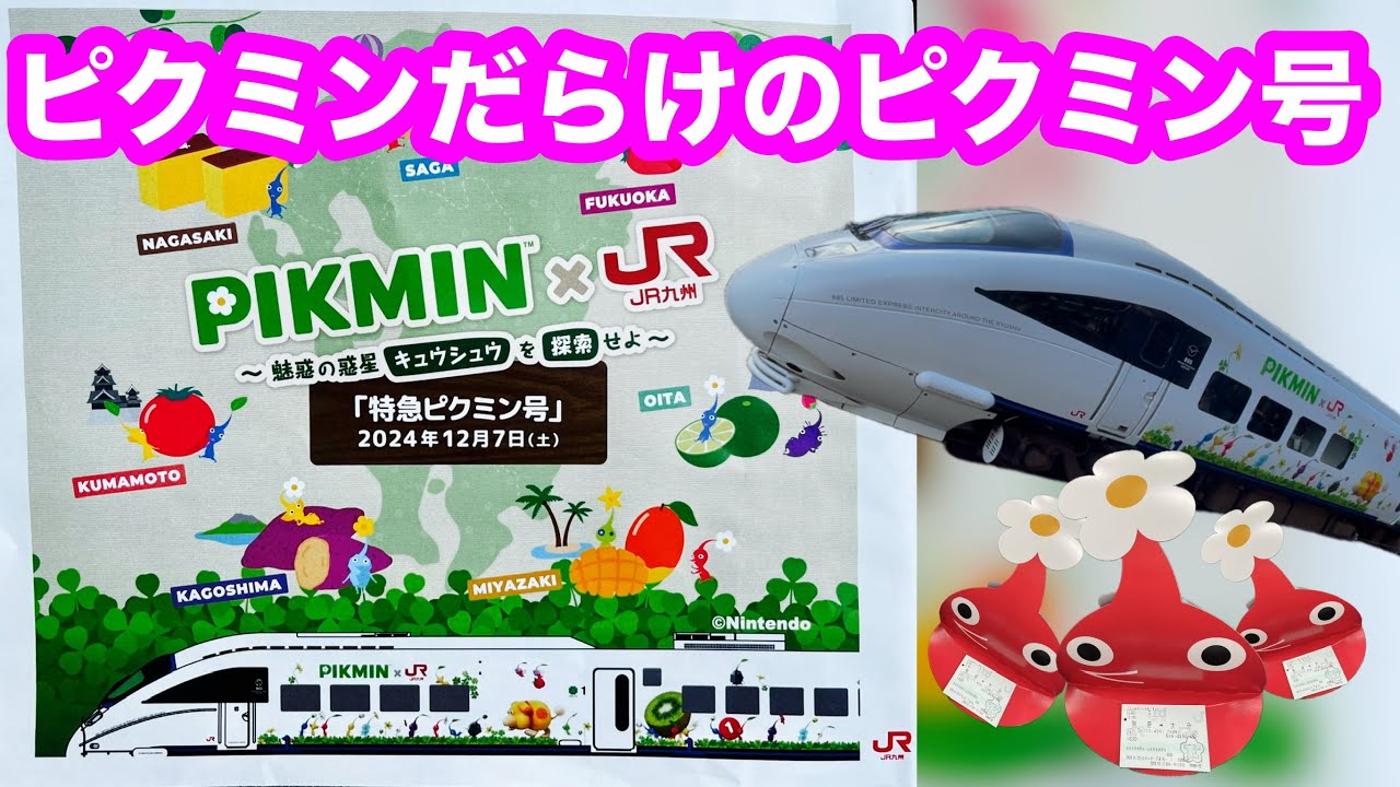 ㊗️1万回再生🎉【885系ピクミントレイン】2024.12.7臨時列車特急ピクミン号の運行は今日だけ！ピクミンだらけのPIKMIN✕JR九州のコラボイベント、大分駅はピクミンでいっぱい！！