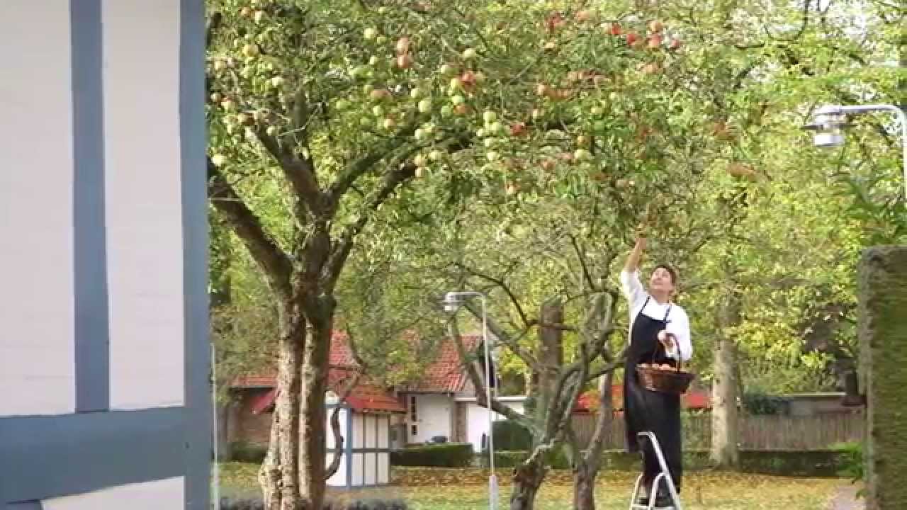 Hotel Knudsens Gaard HD