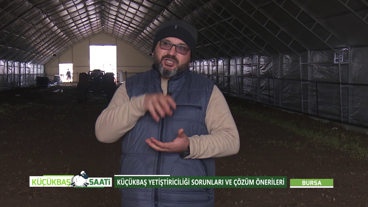 KÜÇÜKBAŞ YETİŞTİRİCİLİĞİ VE SORUNLARI | KÜÇÜKBAŞ SAATİ