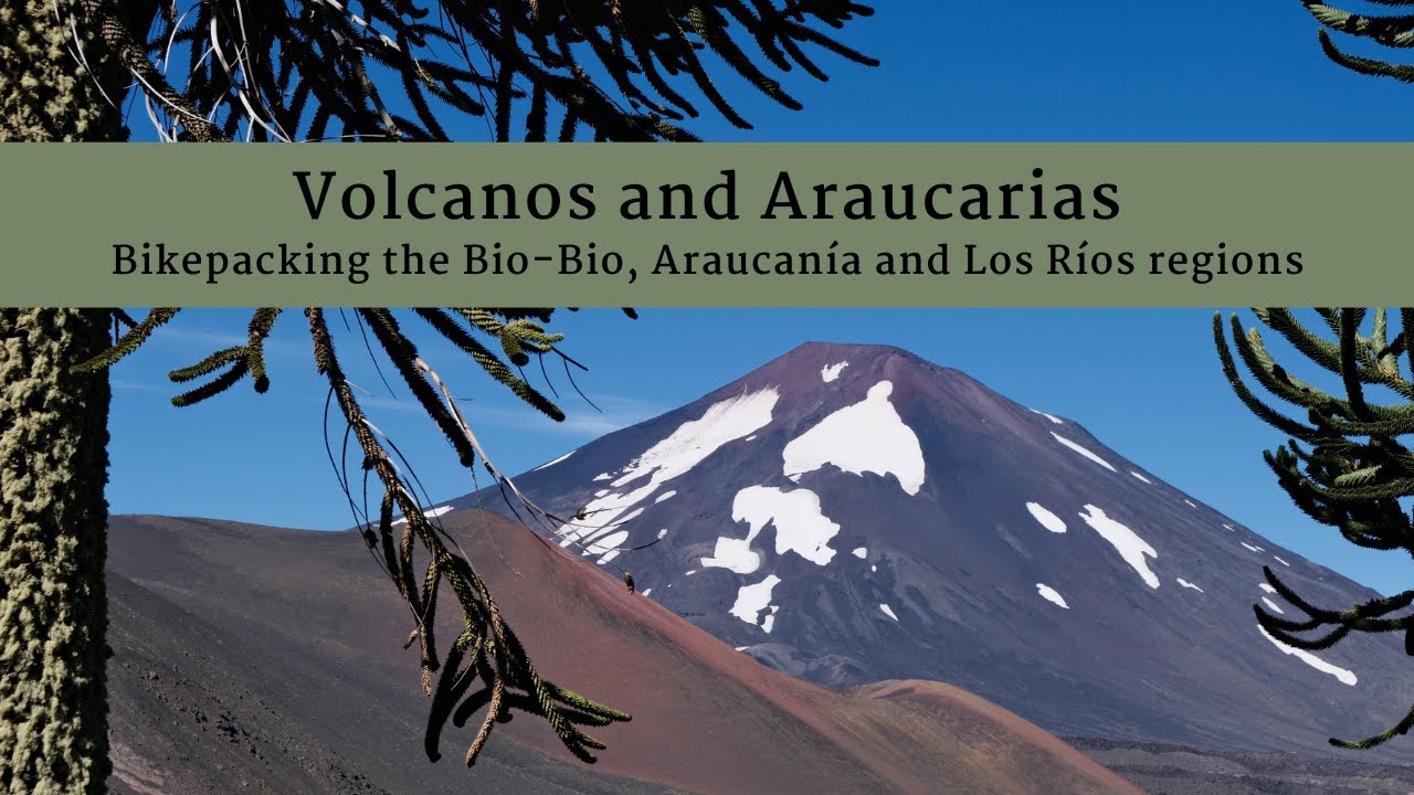 Volcanes y araucarias: Bikepacking en las regiones del Bio-Bio, La Araucan&iacute;a y Los R&iacute;os
