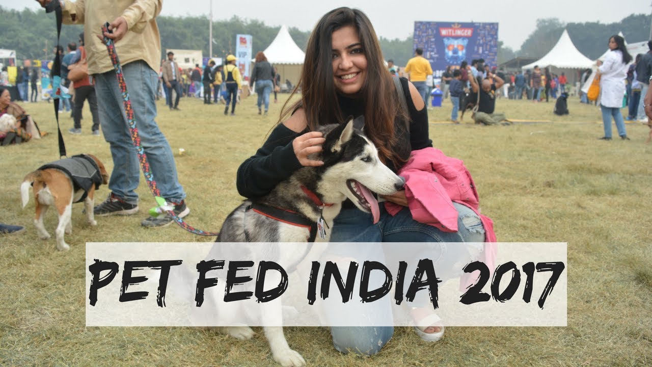 A Treat to all Dog Lovers | Day at Pet Fed Delhi 2017 Okhla Ground