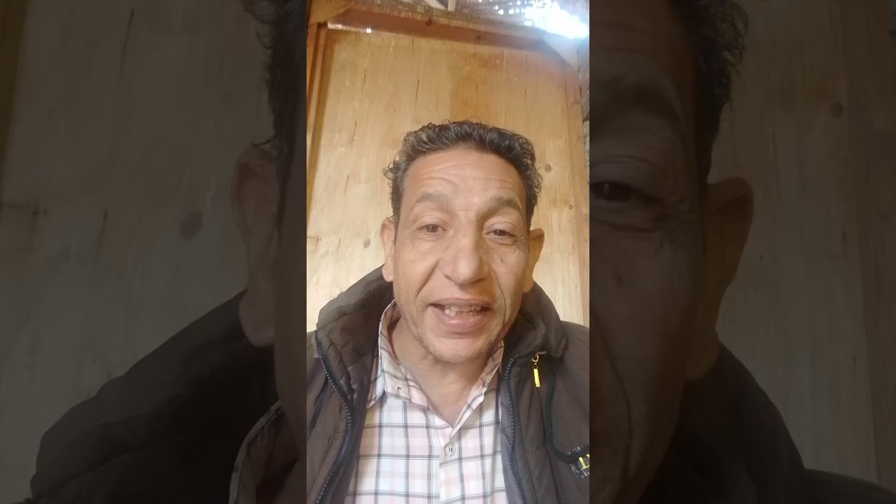 10 فوائد للزنجبيل للدواجن .. والفروج .زياده الوزن  .تربيه الدواجن بالاعشاب .  علاج برد الدواجن