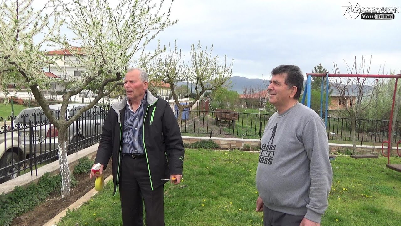 Εμβολιασμοί - κέντρωμα δέντρων με τον Χρυσίδη Κυριάκο , 10 Απριλίου 2022