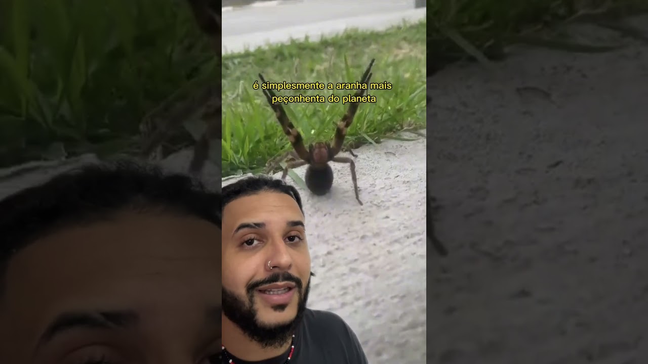 A aranha armadeira ATACOU ele! | Biomesquita #shorts