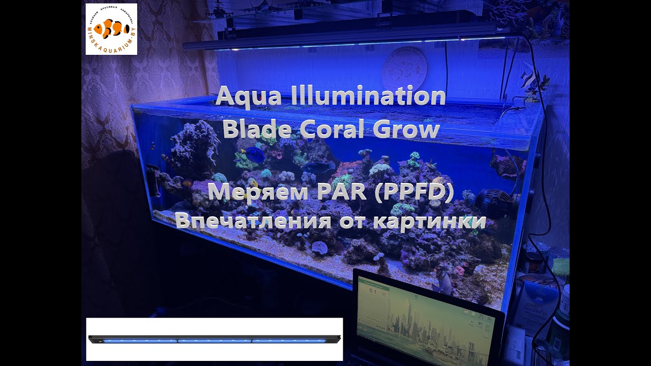Aqua Illumination Blade Coral Grow. Обзор светильника.