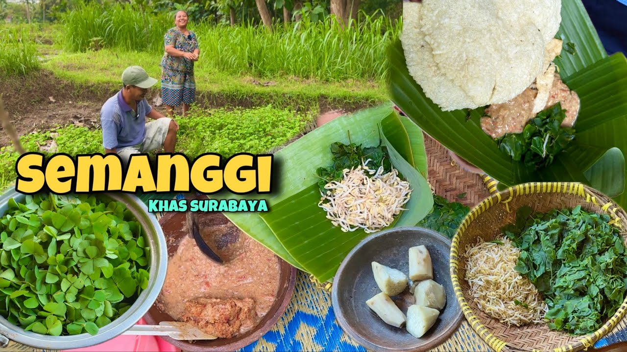 PANEN SEMANGGI SUYOBOYO WES TAU MANAGAN IKI GORONG LUR ??