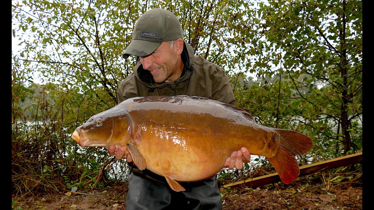 NEW day ticket CARP water