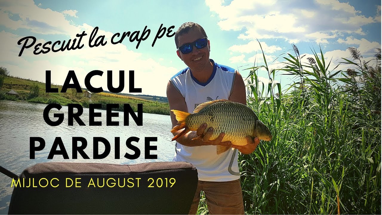 Pescuit la crap pe Lacul Green Paradise | August 2019