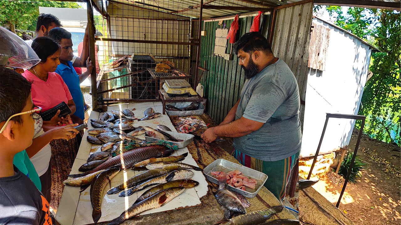 Interesting Big Man Fish Cutting Skills in Sri Lanka Village Street Fish Market Place