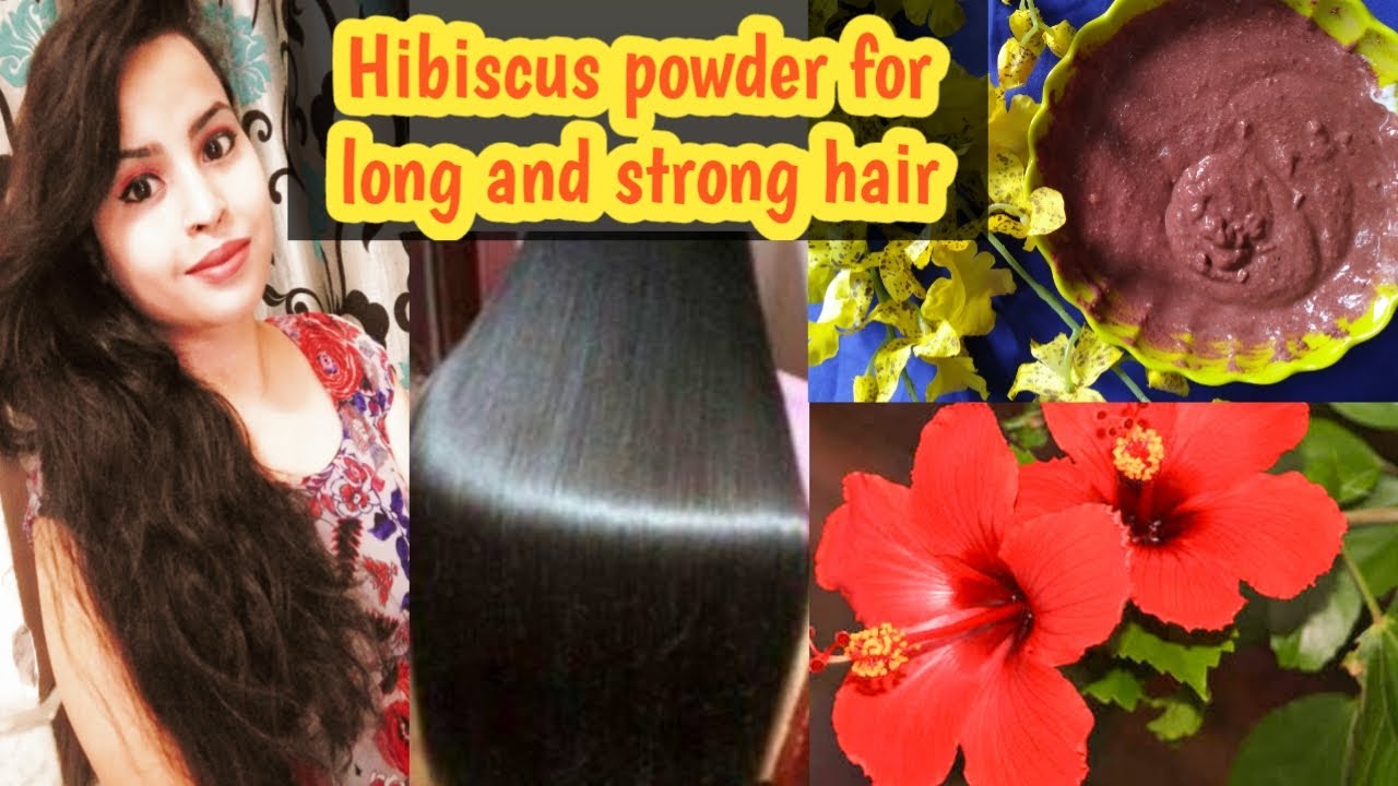 Hibiscus powder for hair growth l How to use hibiscus powder for hair