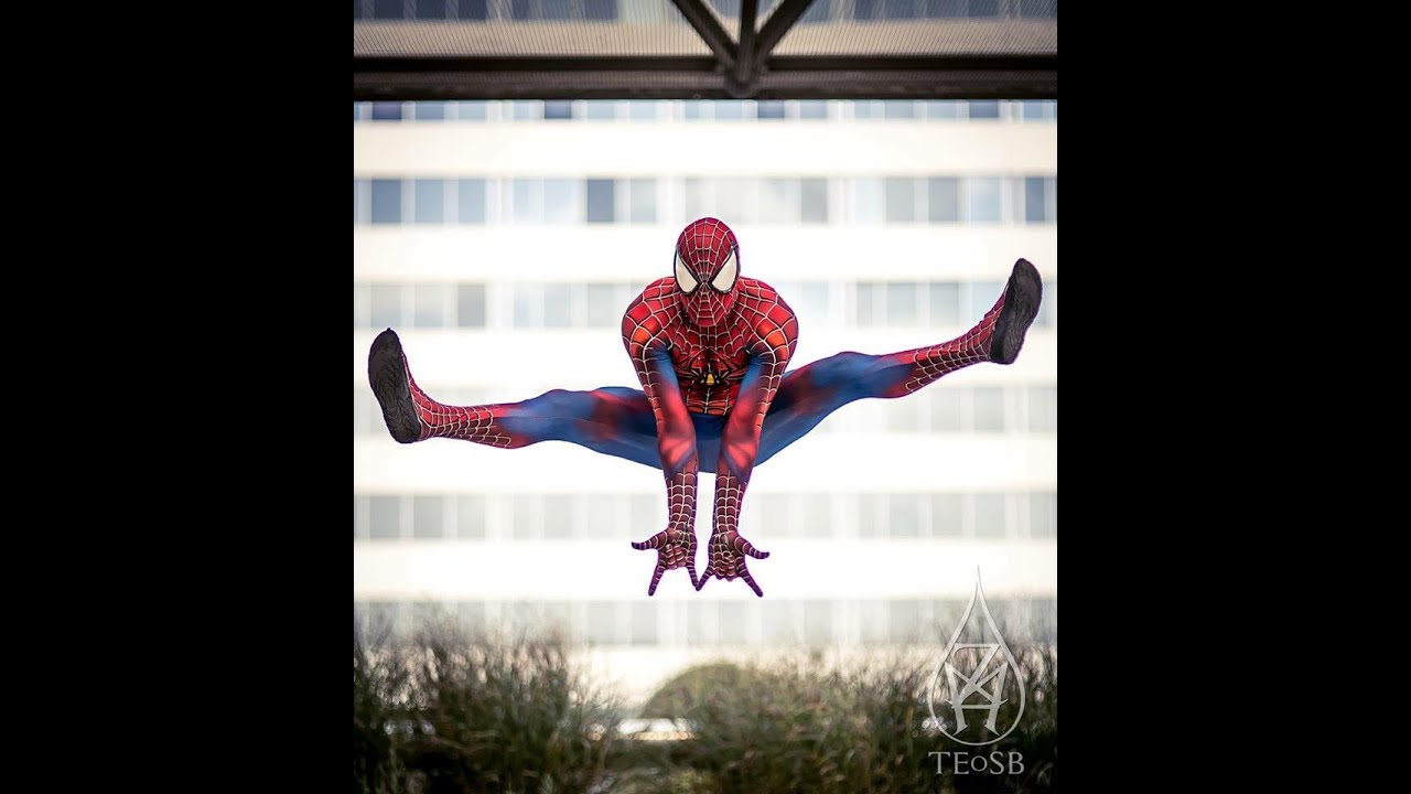 TstunningSpidey:  