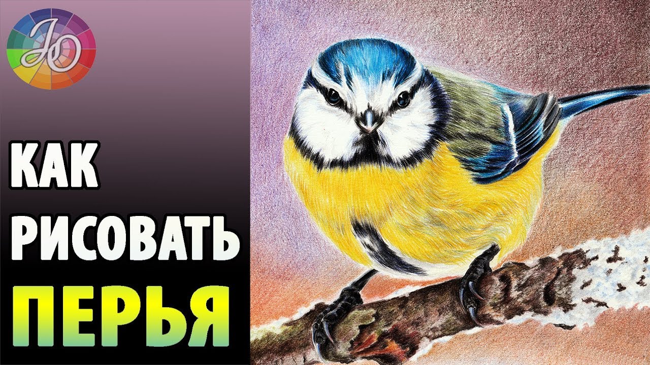 👍✔ КАК РИСОВАТЬ ПЕРЬЯ ✎ ЦВЕТНЫМИ КАРАНДАШАМИ ✎ Ответы на вопросы подписчиков