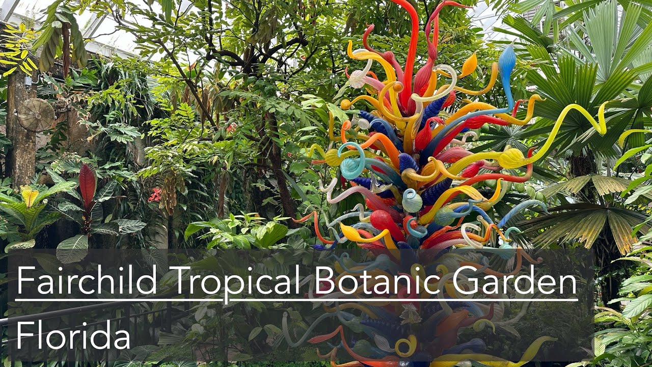 Visiting Fairchild Tropical Botanic Garden in Florida