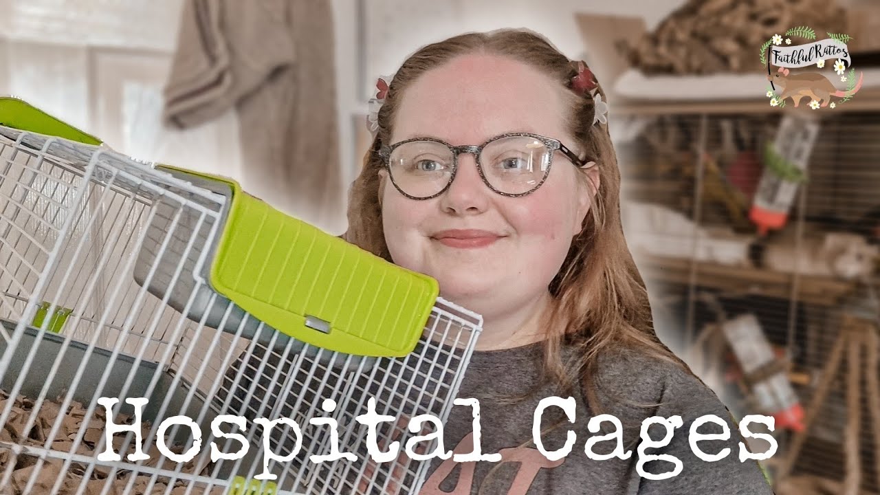 Hospital Cages for Rats!🏥🐀