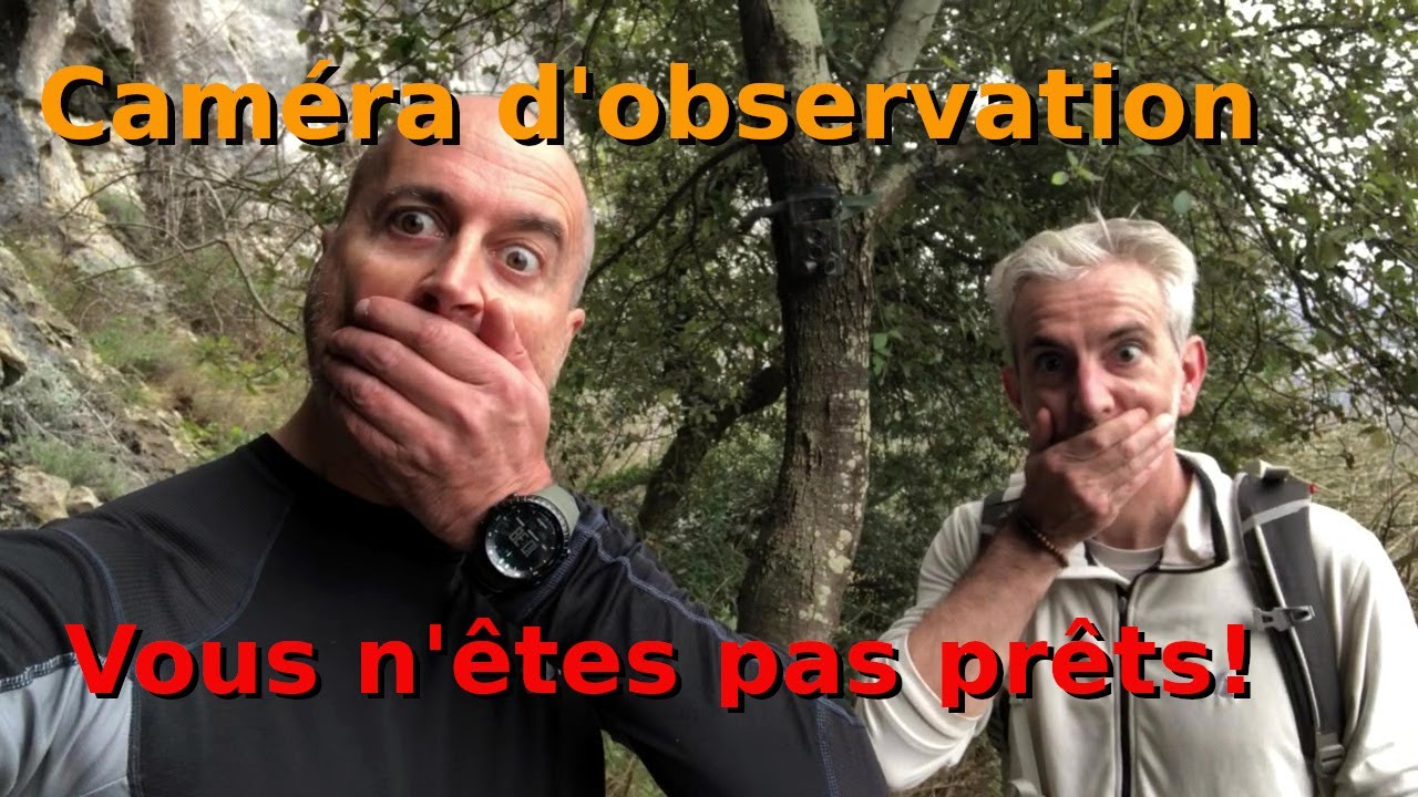 Caméra d'observation animale