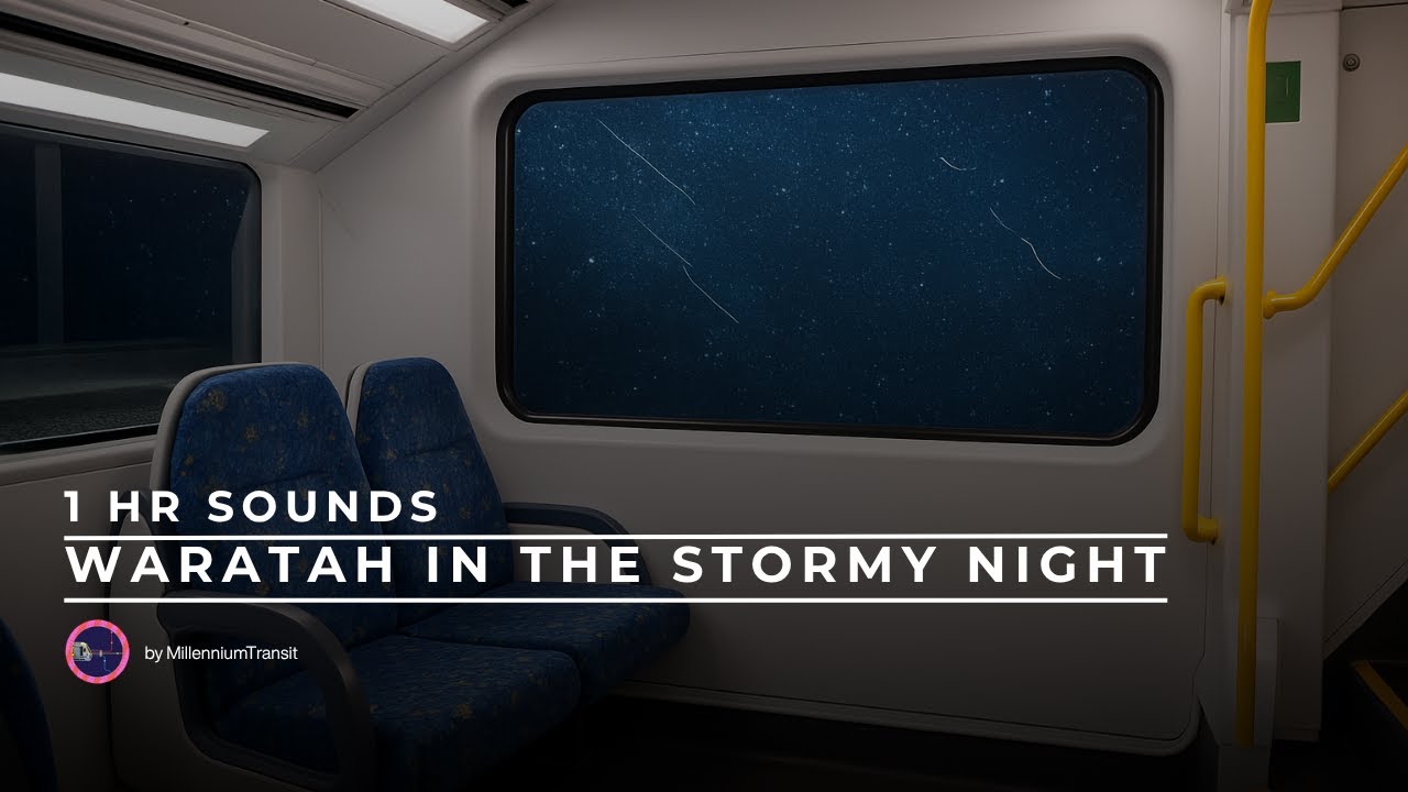 🎧 Waratah Train in a Storm | 1 Hour Train Ambience for Sleep, Study, Relax
