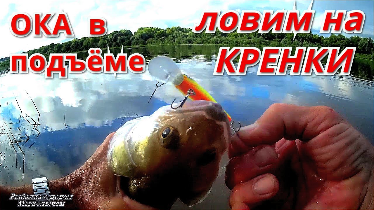 Рыбалка на ОКЕ на воблеры КРЕНКИ. Спиннинг в июле 2020.