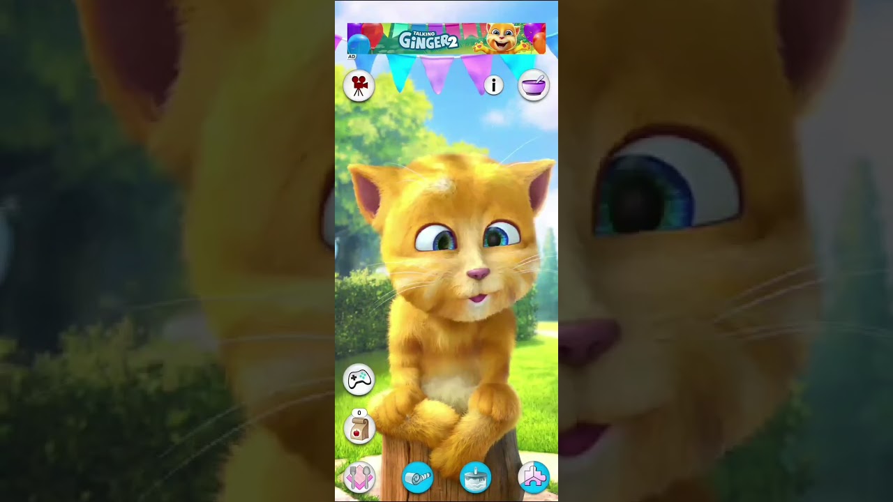 Talking Ginger 2😅 Talking Ginger Tom