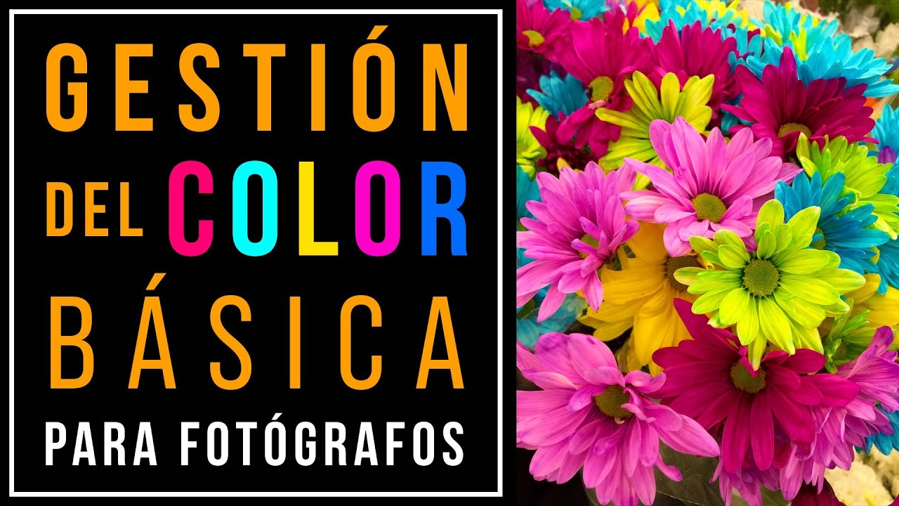 🔴🟢🔵 Gestión del COLOR básica para FOTÓGRAFOS 📸