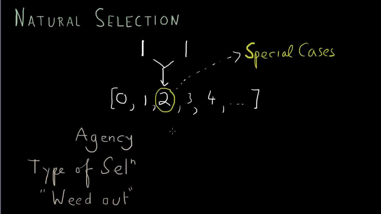 Forsdyke Evolution Academy 01-16 Artificial and Natural Selection