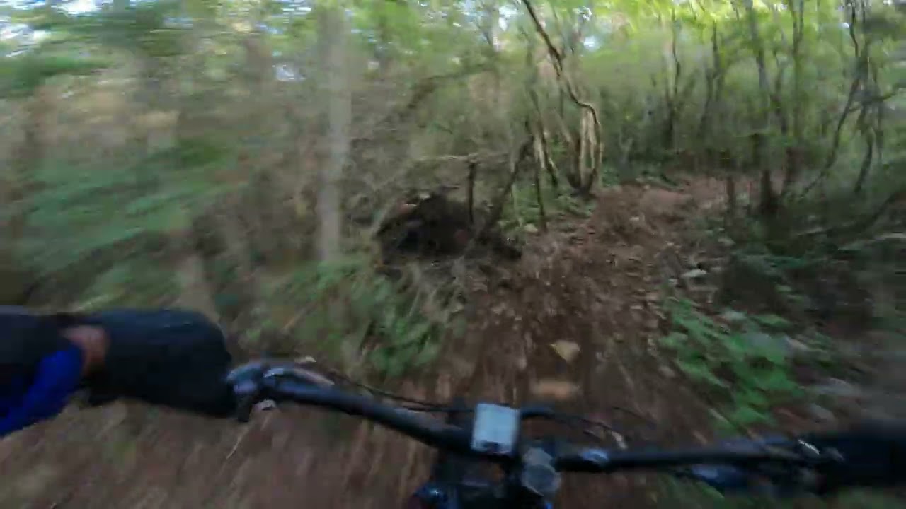 5NOV22 Garrapata.MTB Yucat&aacute;n