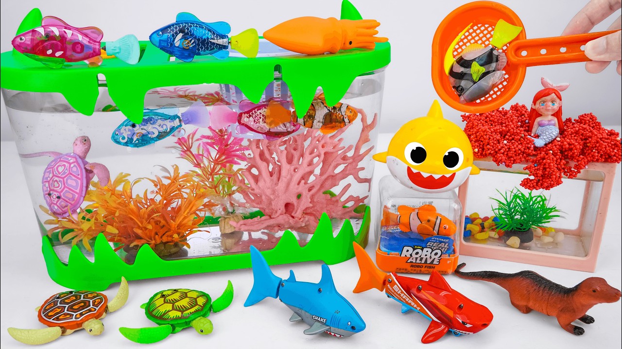[🐋toy asmr🐋] ZURU Robo Baby Shark Pinkfong & Little Turtle & Dino Battle Toys ASMR🌟Review Toys