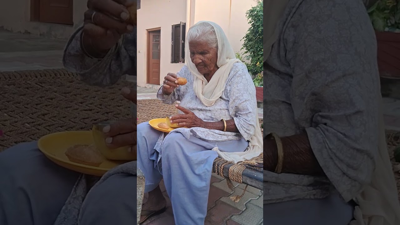 ਬੇਬੇ ਖਾਵੇ 😋 ਗੋਲ ਗੱਫੇ 🍲🥘#villagelife #villagevlog  #dailyvlog #bebeviral #bebebapustatus#bebe