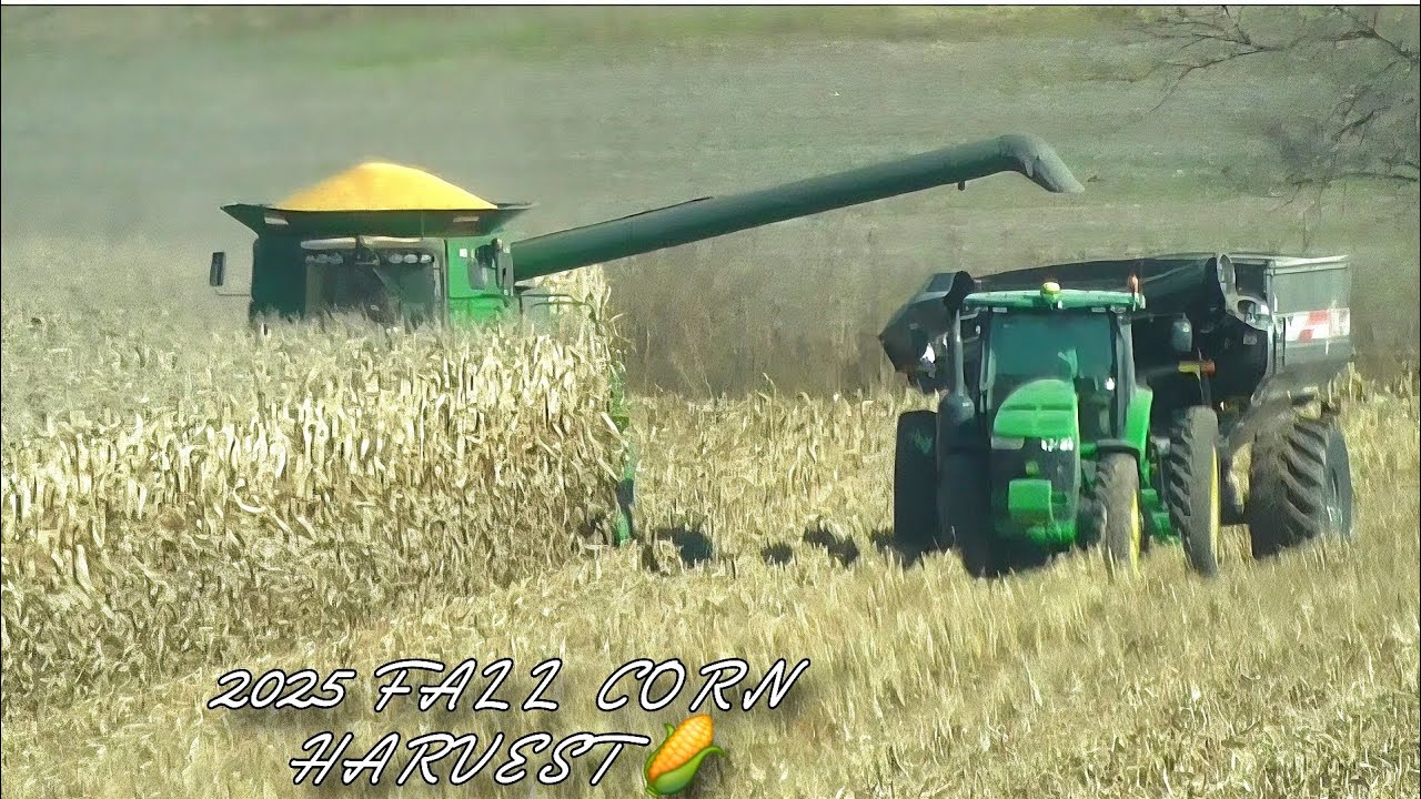 JOHN DEERE 9670 STS COMBINE SHELLING CORN 🌽 2025 FALL CORN HARVEST 
