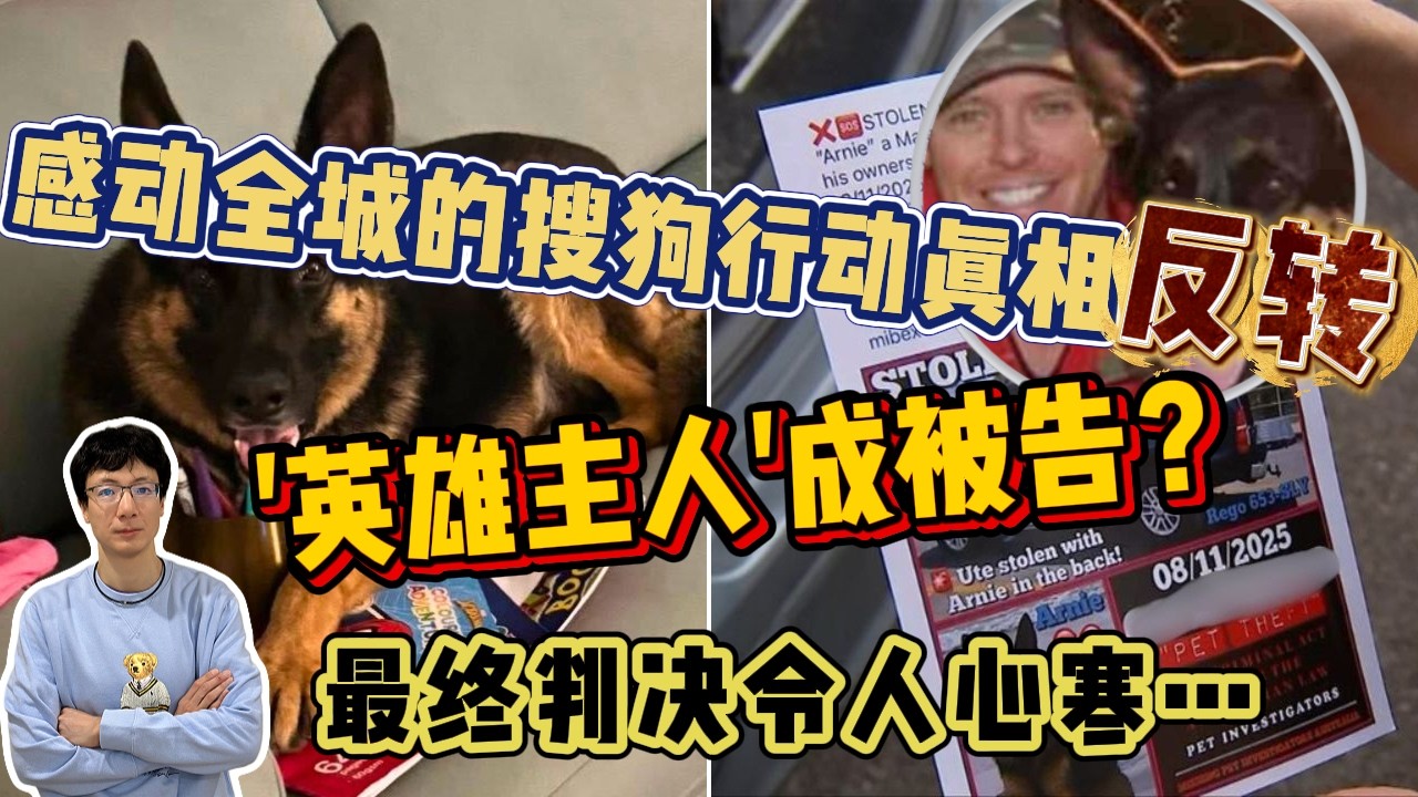 EP302 全城尋狗驚天反轉：從「英雄主人」到被告席，法院判決揭曉